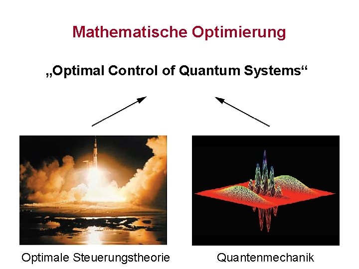 Mathematische Optimierung „Optimal Control of Quantum Systems“ Optimale Steuerungstheorie Quantenmechanik 
