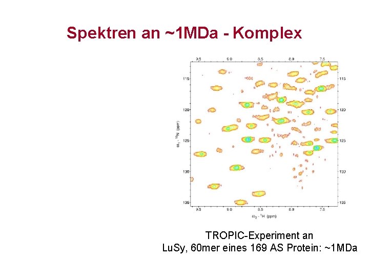 Spektren an ~1 MDa - Komplex TROPIC-Experiment an Lu. Sy, 60 mer eines 169