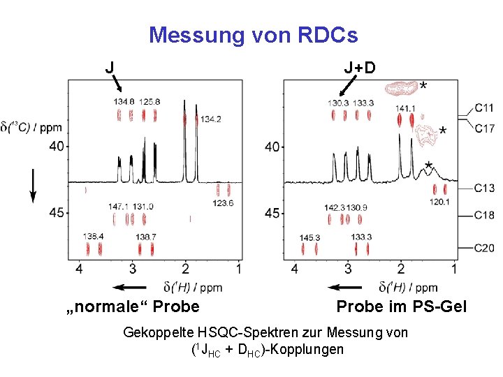 Messung von RDCs J J+D „normale“ Probe im PS-Gel Gekoppelte HSQC-Spektren zur Messung von