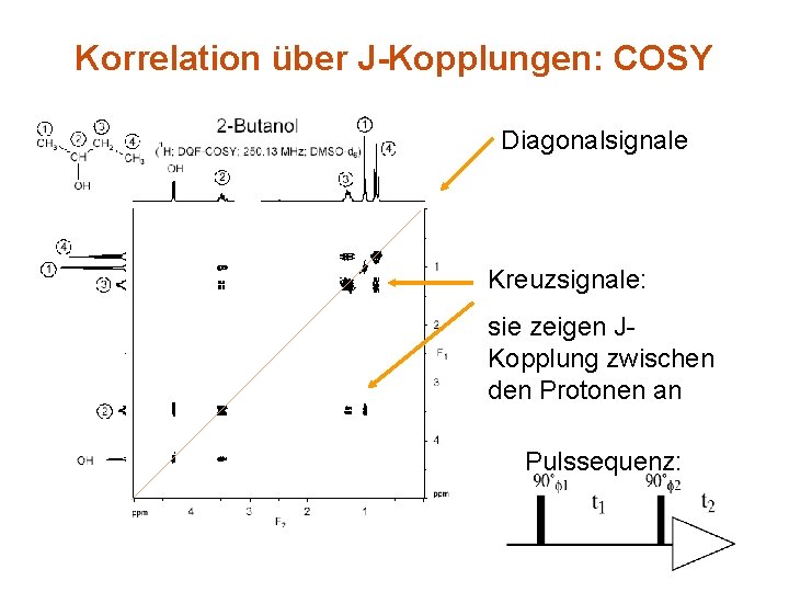 Korrelation über J-Kopplungen: COSY Diagonalsignale Kreuzsignale: sie zeigen JKopplung zwischen den Protonen an Pulssequenz: