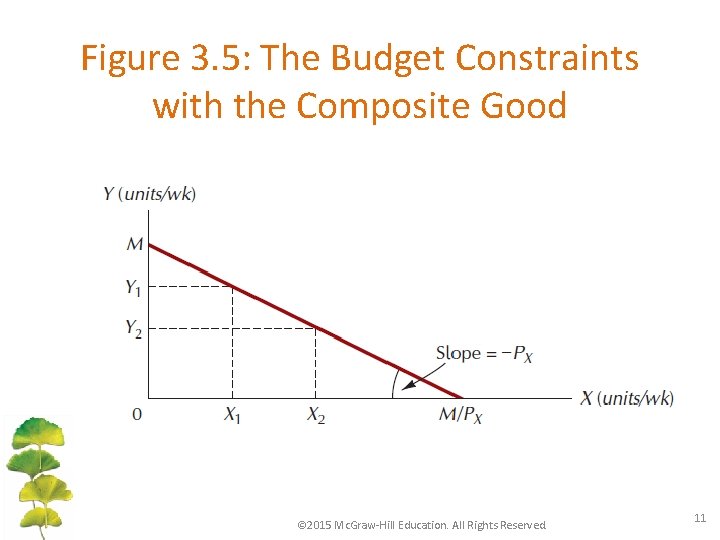 Figure 3. 5: The Budget Constraints with the Composite Good © 2015 Mc. Graw-Hill