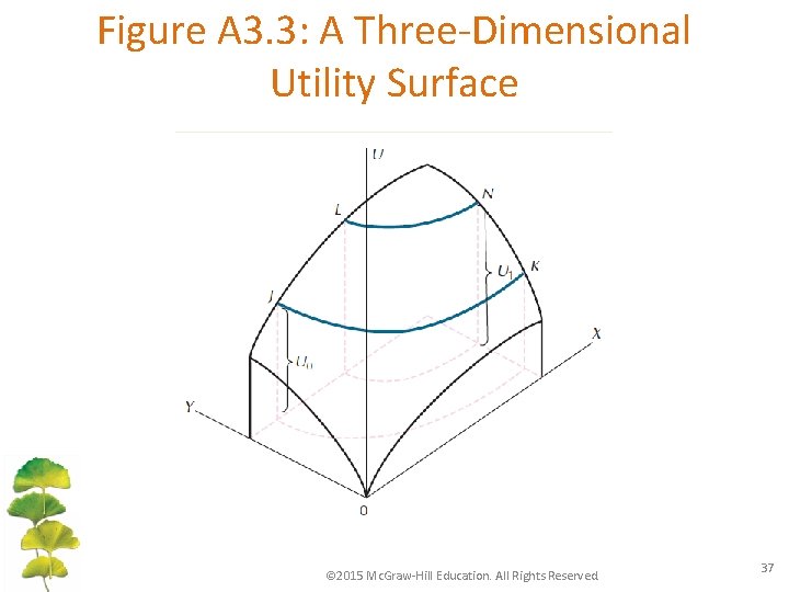 Figure A 3. 3: A Three-Dimensional Utility Surface © 2015 Mc. Graw-Hill Education. All