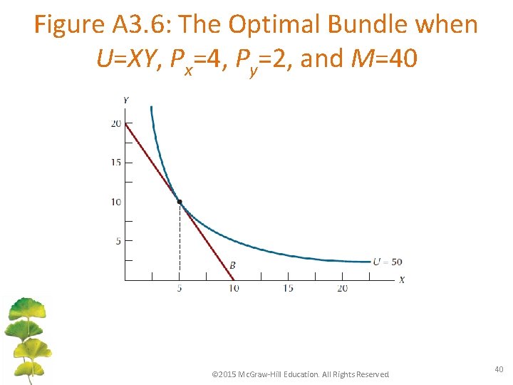 Figure A 3. 6: The Optimal Bundle when U=XY, Px=4, Py=2, and M=40 ©