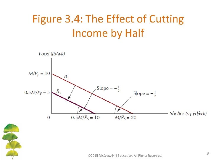 Figure 3. 4: The Effect of Cutting Income by Half © 2015 Mc. Graw-Hill