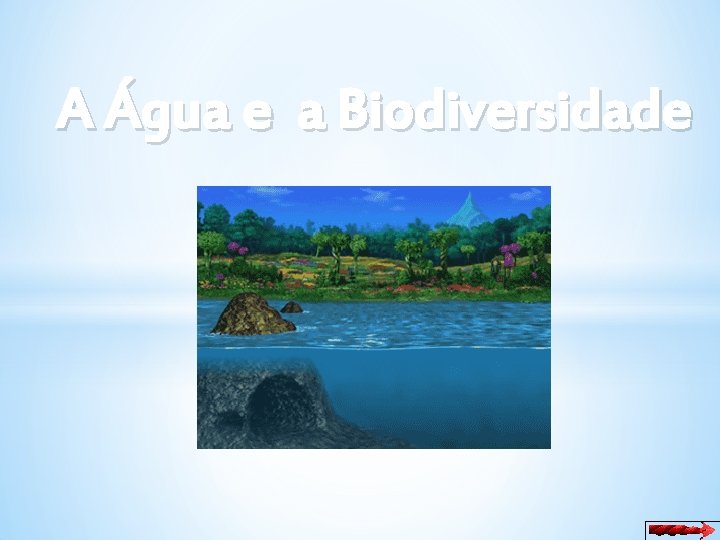 A Água e a Biodiversidade 