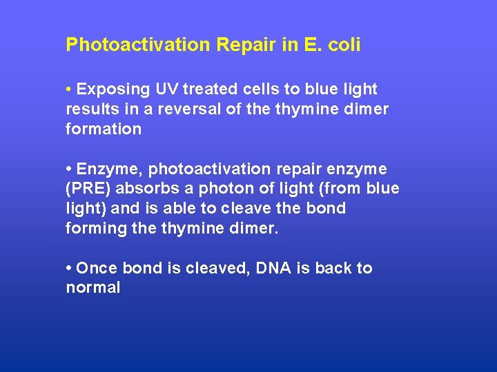 Photoactivation Repair in E. coli • Exposing UV treated cells to blue light results