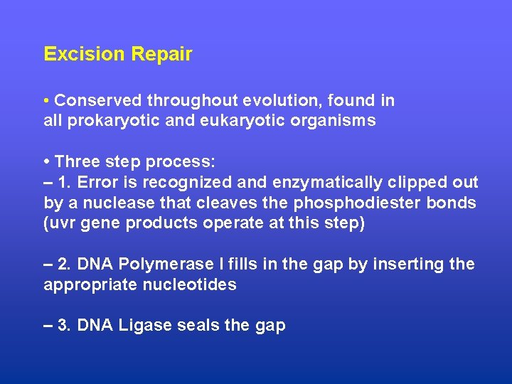 Excision Repair • Conserved throughout evolution, found in all prokaryotic and eukaryotic organisms •