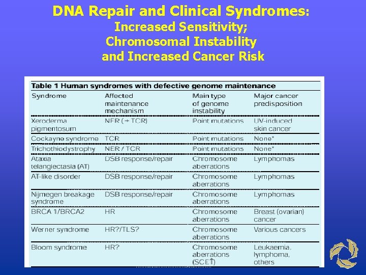 DNA Repair and Clinical Syndromes: Increased Sensitivity; Chromosomal Instability and Increased Cancer Risk 