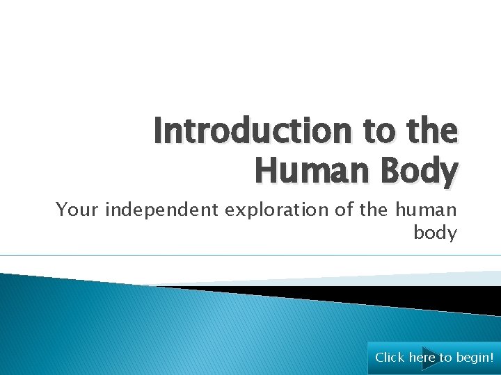 Introduction to the Human Body Your independent exploration of the human body Click here