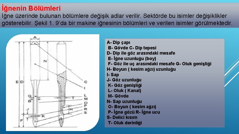 İğnenin Bölümleri İğne üzerinde bulunan bölümlere değişik adlar verilir. Sektörde bu isimler değişiklikler gösterebilir.