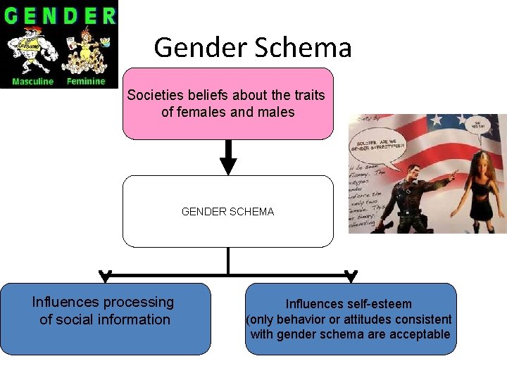 Gender Schema Societies beliefs about the traits of females and males GENDER SCHEMA Influences Gender Schema Societies beliefs about the traits of females and males GENDER SCHEMA Influences