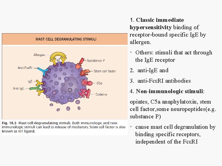 1. Classic immediate hypersensitivity binding of receptor-bound specific Ig. E by allergen. • Others: