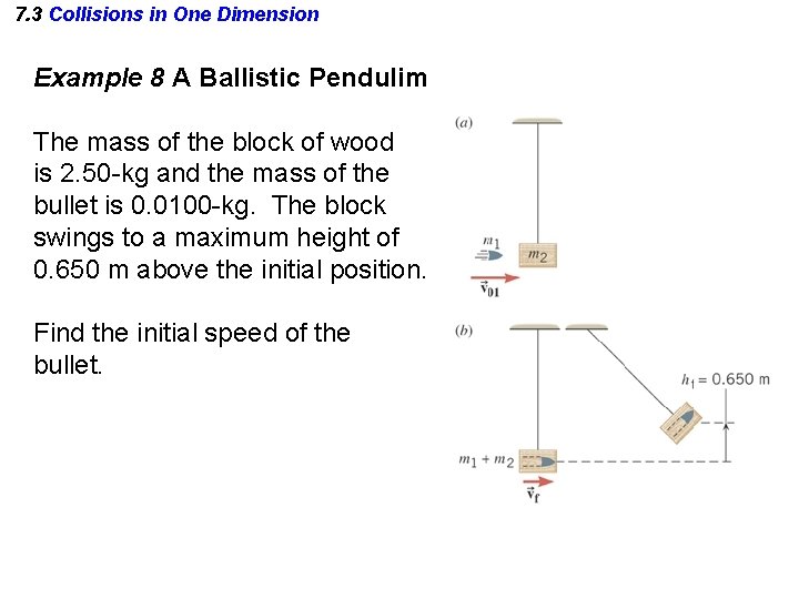 7. 3 Collisions in One Dimension Example 8 A Ballistic Pendulim The mass of 7. 3 Collisions in One Dimension Example 8 A Ballistic Pendulim The mass of