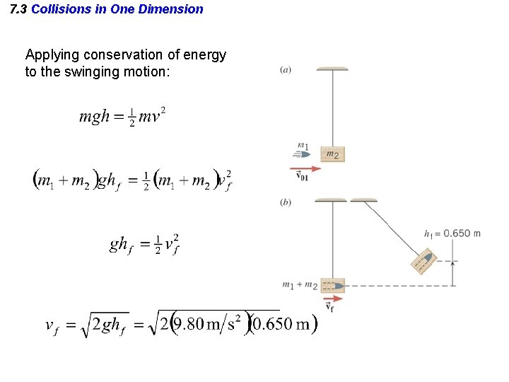 7. 3 Collisions in One Dimension Applying conservation of energy to the swinging motion: 7. 3 Collisions in One Dimension Applying conservation of energy to the swinging motion:
