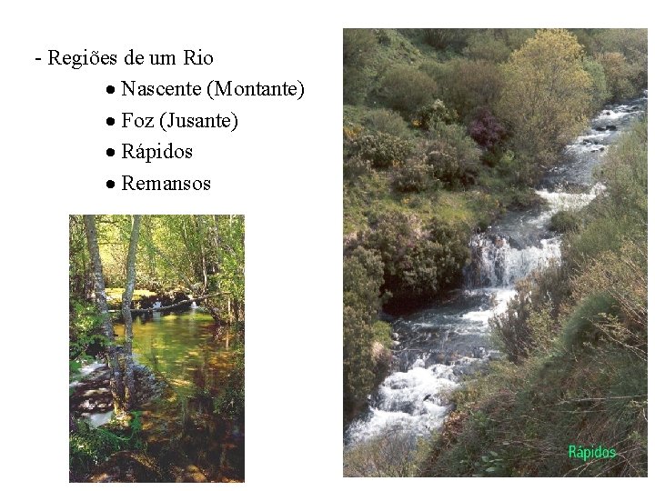 - Regiões de um Rio Nascente (Montante) Foz (Jusante) Rápidos Remansos 