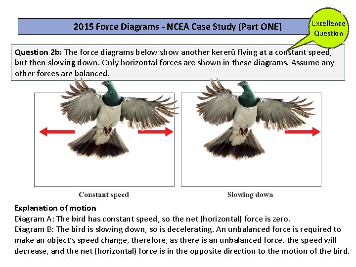 2015 Force Diagrams - NCEA Case Study (Part ONE) Excellence Question 2 b: The