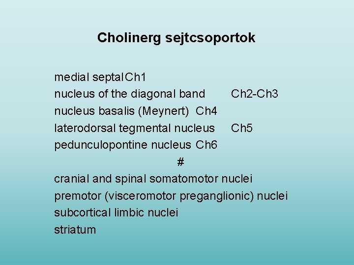 Cholinerg sejtcsoportok medial septal Ch 1 nucleus of the diagonal band Ch 2 -Ch