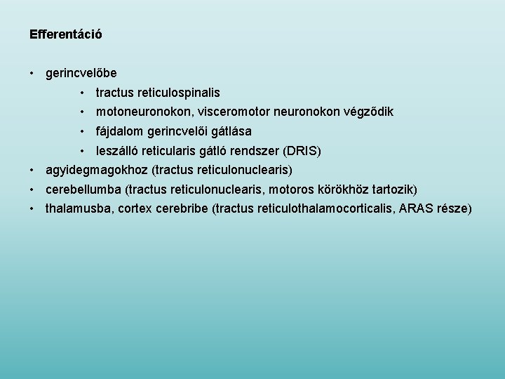 Efferentáció • gerincvelőbe • tractus reticulospinalis • motoneuronokon, visceromotor neuronokon végződik • fájdalom gerincvelői