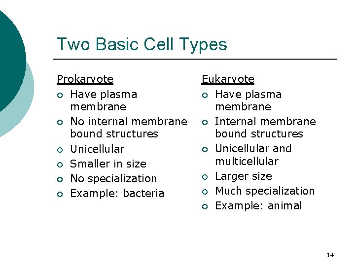 Two Basic Cell Types Prokaryote ¡ Have plasma membrane ¡ No internal membrane bound