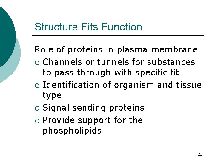 Structure Fits Function Role of proteins in plasma membrane ¡ Channels or tunnels for