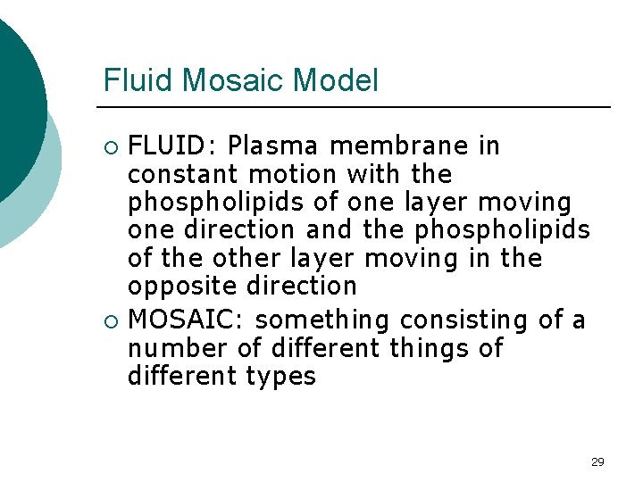 Fluid Mosaic Model FLUID: Plasma membrane in constant motion with the phospholipids of one