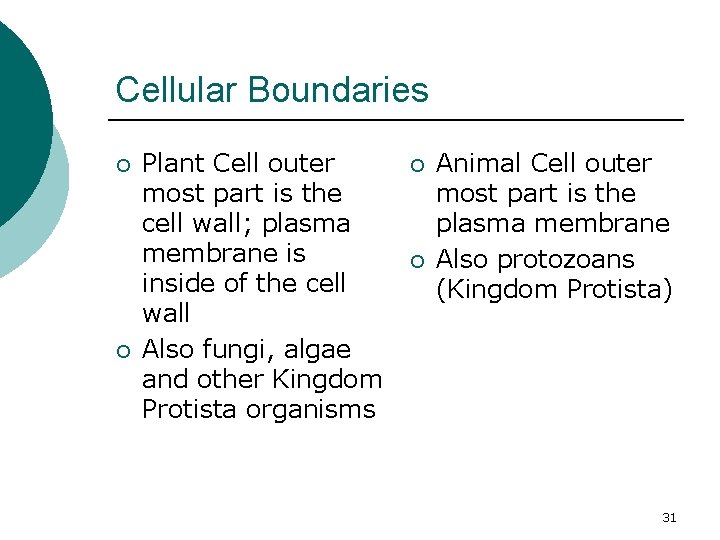 Cellular Boundaries ¡ ¡ Plant Cell outer most part is the cell wall; plasma