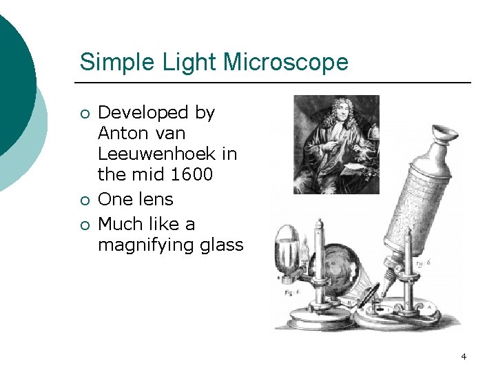 Simple Light Microscope ¡ ¡ ¡ Developed by Anton van Leeuwenhoek in the mid