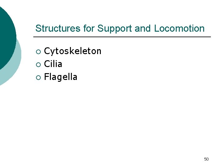 Structures for Support and Locomotion Cytoskeleton ¡ Cilia ¡ Flagella ¡ 50 