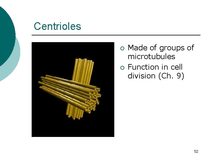 Centrioles ¡ ¡ Made of groups of microtubules Function in cell division (Ch. 9)