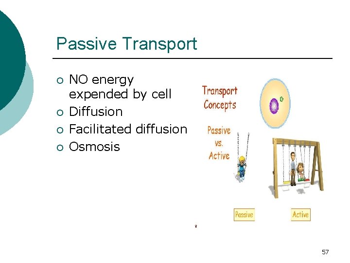 Passive Transport ¡ ¡ NO energy expended by cell Diffusion Facilitated diffusion Osmosis 57