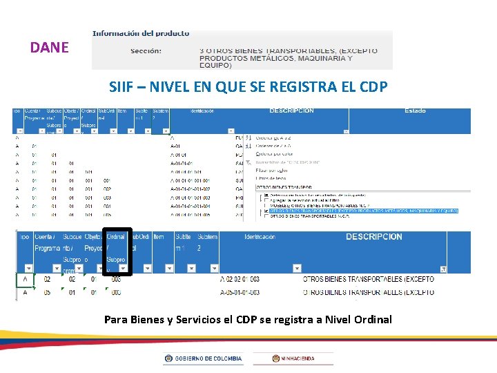 DANE SIIF – NIVEL EN QUE SE REGISTRA EL CDP Para Bienes y Servicios