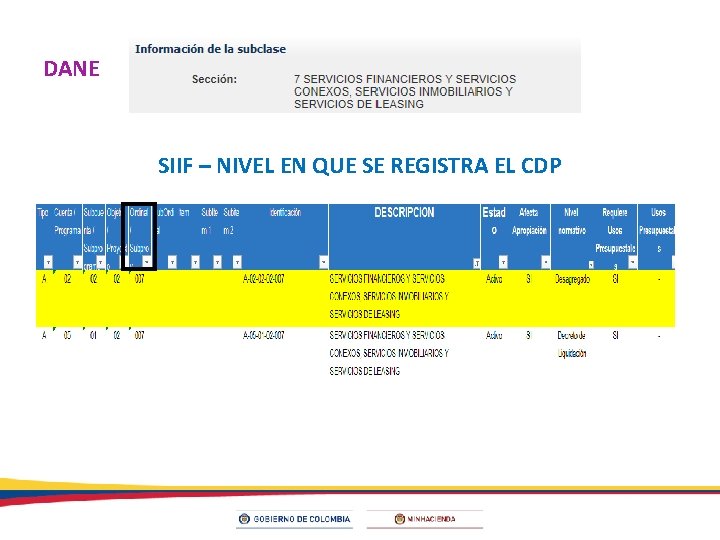 DANE SIIF – NIVEL EN QUE SE REGISTRA EL CDP 