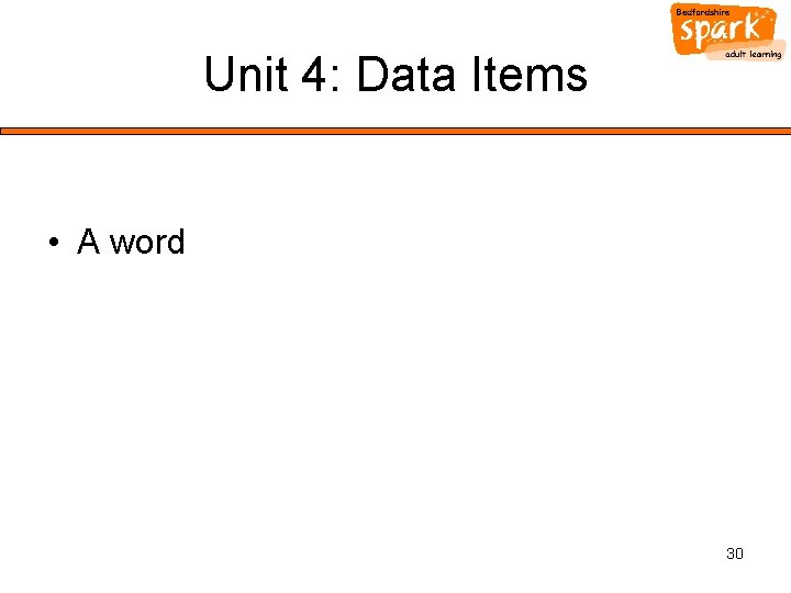 Unit 4: Data Items • A word 30 