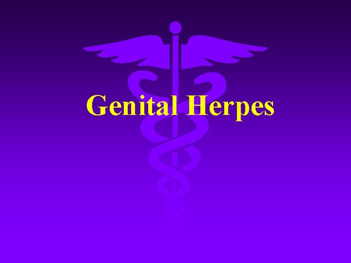Genital Herpes 