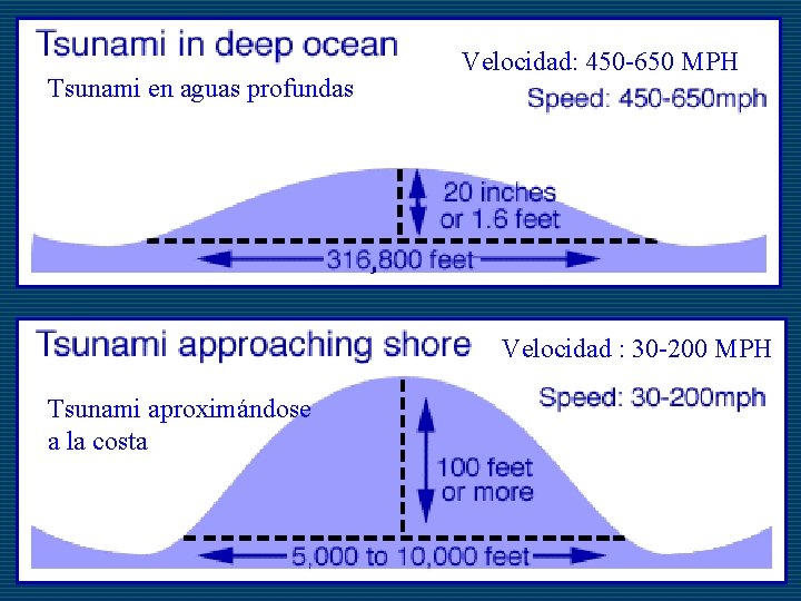 Tsunami en aguas profundas Velocidad: 450 -650 MPH Velocidad : 30 -200 MPH Tsunami