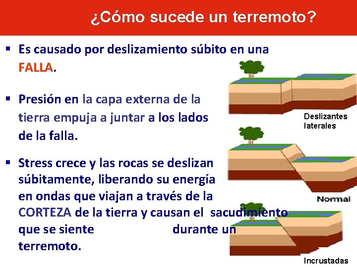 ¿Cómo sucede un terremoto? § Es causado por deslizamiento súbito en una FALLA. §