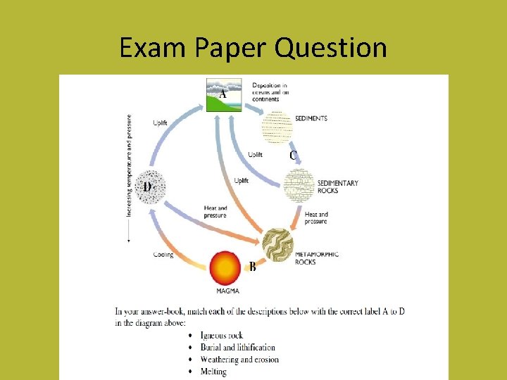 Exam Paper Question 