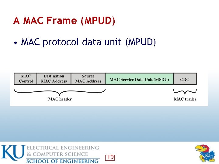 A MAC Frame (MPUD) • MAC protocol data unit (MPUD) 19 