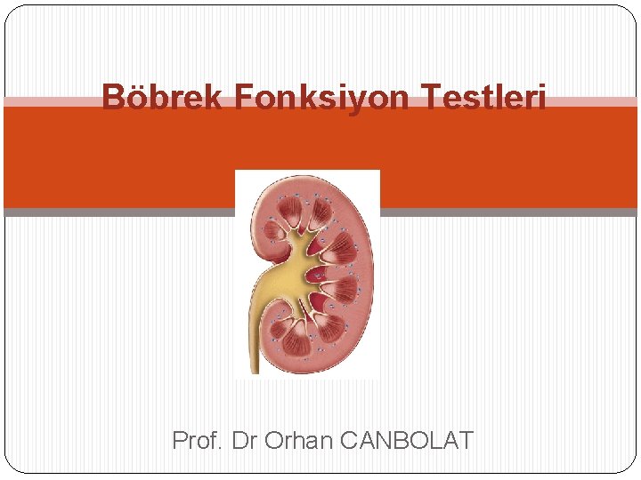 Böbrek Fonksiyon Testleri Prof. Dr Orhan CANBOLAT 