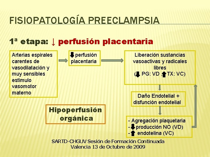 FISIOPATOLOGÍA PREECLAMPSIA 1ª etapa: ↓ perfusión placentaria Arterias espirales carentes de vasodilatación y muy FISIOPATOLOGÍA PREECLAMPSIA 1ª etapa: ↓ perfusión placentaria Arterias espirales carentes de vasodilatación y muy