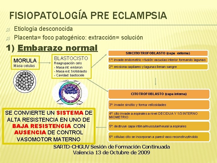 FISIOPATOLOGÍA PRE ECLAMPSIA Etiología desconocida Placenta= foco patogénico: extracción= solución 1) Embarazo normal MORULA FISIOPATOLOGÍA PRE ECLAMPSIA Etiología desconocida Placenta= foco patogénico: extracción= solución 1) Embarazo normal MORULA