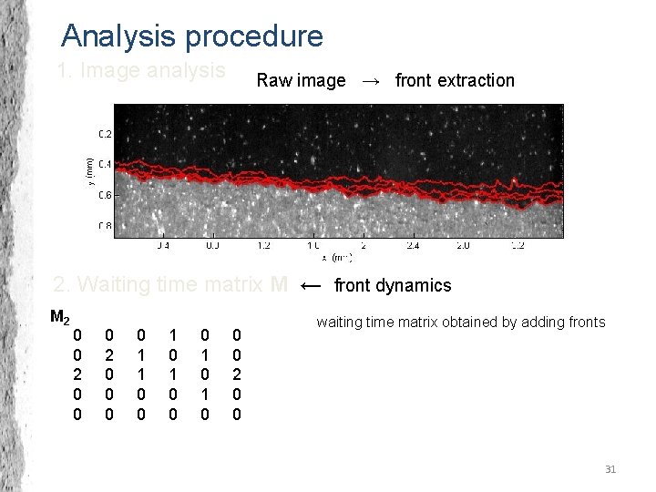 Analysis procedure 1. Image analysis Raw image → front extraction F 2 F 1