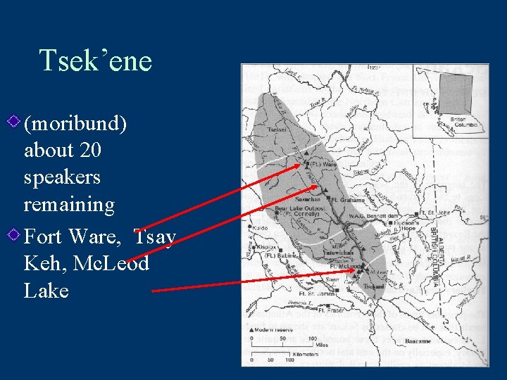 Tsek’ene (moribund) about 20 speakers remaining Fort Ware, Tsay Keh, Mc. Leod Lake 