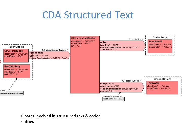 CDA Structured Text Classes involved in structured text & coded entries 