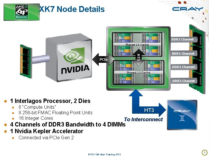 XK 7 Node Details DDR 3 Channel Shared L 3 Cache HT 3 DDR