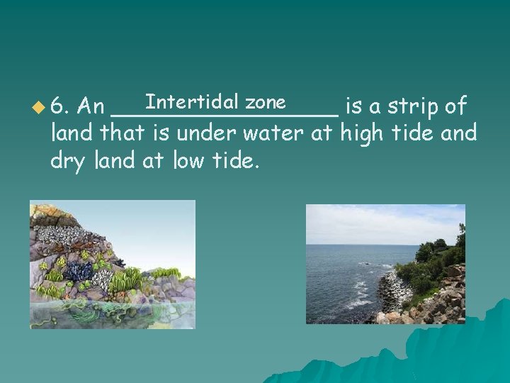 Intertidal zone An ________ is a strip of land that is under water at