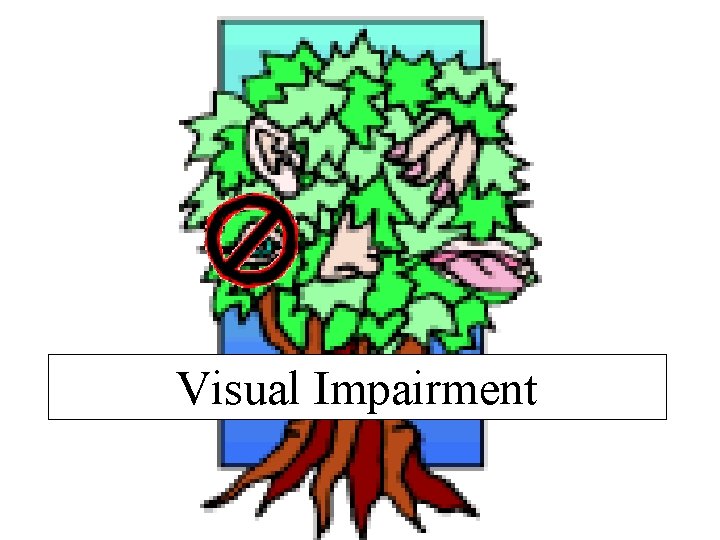 Visual Impairment 