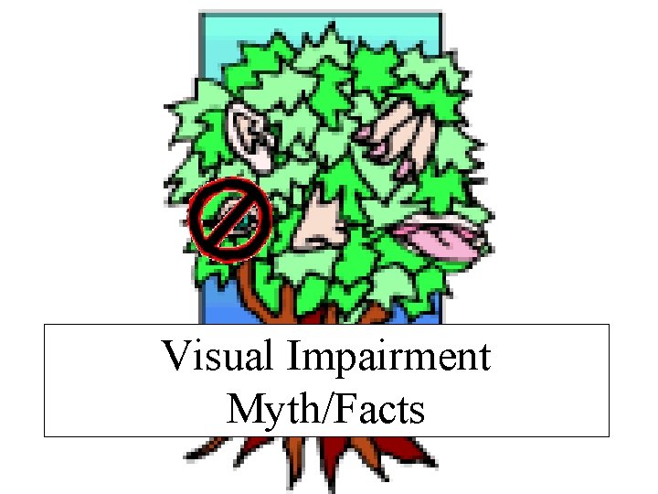 Visual Impairment Myth/Facts 