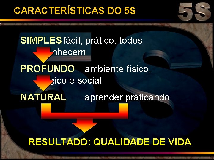 CARACTERÍSTICAS DO 5 S SIMPLES fácil, prático, todos conhecem PROFUNDO ambiente físico, lógico e