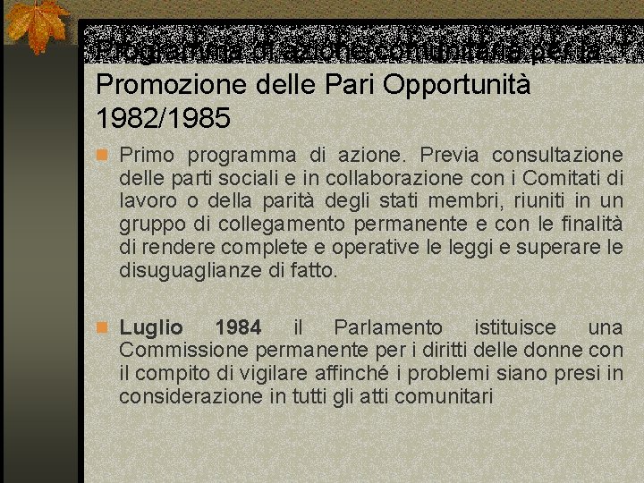 Programma di azione comunitaria per la Promozione delle Pari Opportunità 1982/1985 n Primo programma